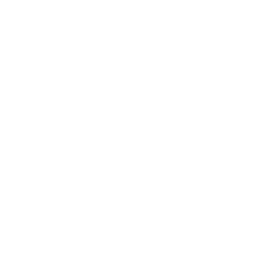 Orbit